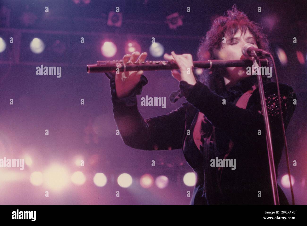 Ann Wilson of Heart, Centre civique, Providence, Rhode Island, 9 octobre, 1982. Banque D'Images