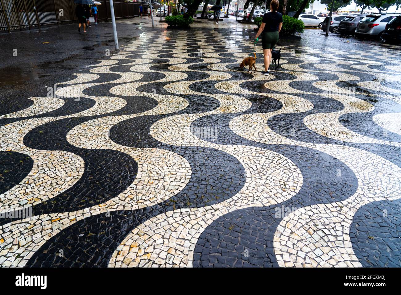 Une femme avec deux chiens sur le trottoir en forme de vague noir et blanc de la plage de Copacabana, Rio de Janeiro, Brésil. Banque D'Images