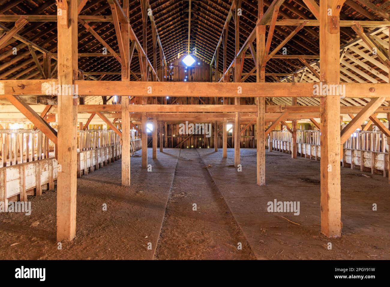 Intérieur de la Grange historique avec poutres en bois à la ferme laitière de Pierce point Banque D'Images