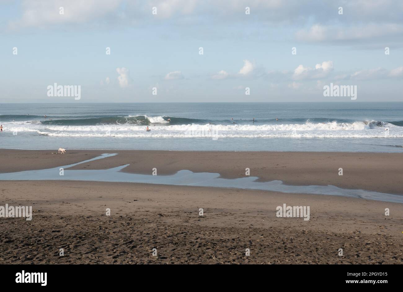 Une foule de surfeurs matinaux sur la célèbre plage de Canggu, à Bali, en Indonésie Banque D'Images