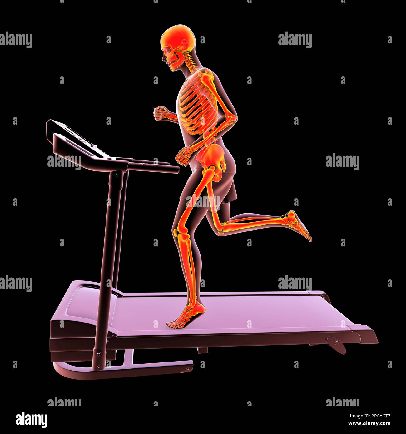 Squelette courant sur un tapis roulant, illustration Banque D'Images