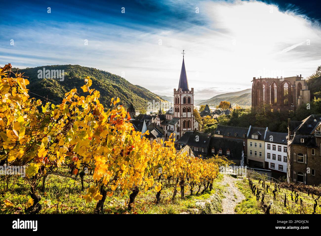 Vignobles et ville, St. L'église paroissiale Peters et la chapelle Werner en ruines, Bacharach, vallée du Haut-Rhin moyen, site classé au patrimoine mondial de l'UNESCO, Rhin Banque D'Images