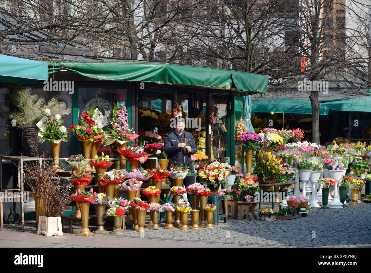 Marché aux fleurs, marché au sel, Wroclaw, Basse-Silésie, Pologne Banque D'Images