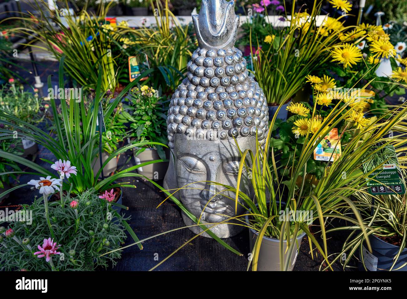 Bouddha tête entre fleurs, Allgaeu, Bavière, Allemagne Banque D'Images