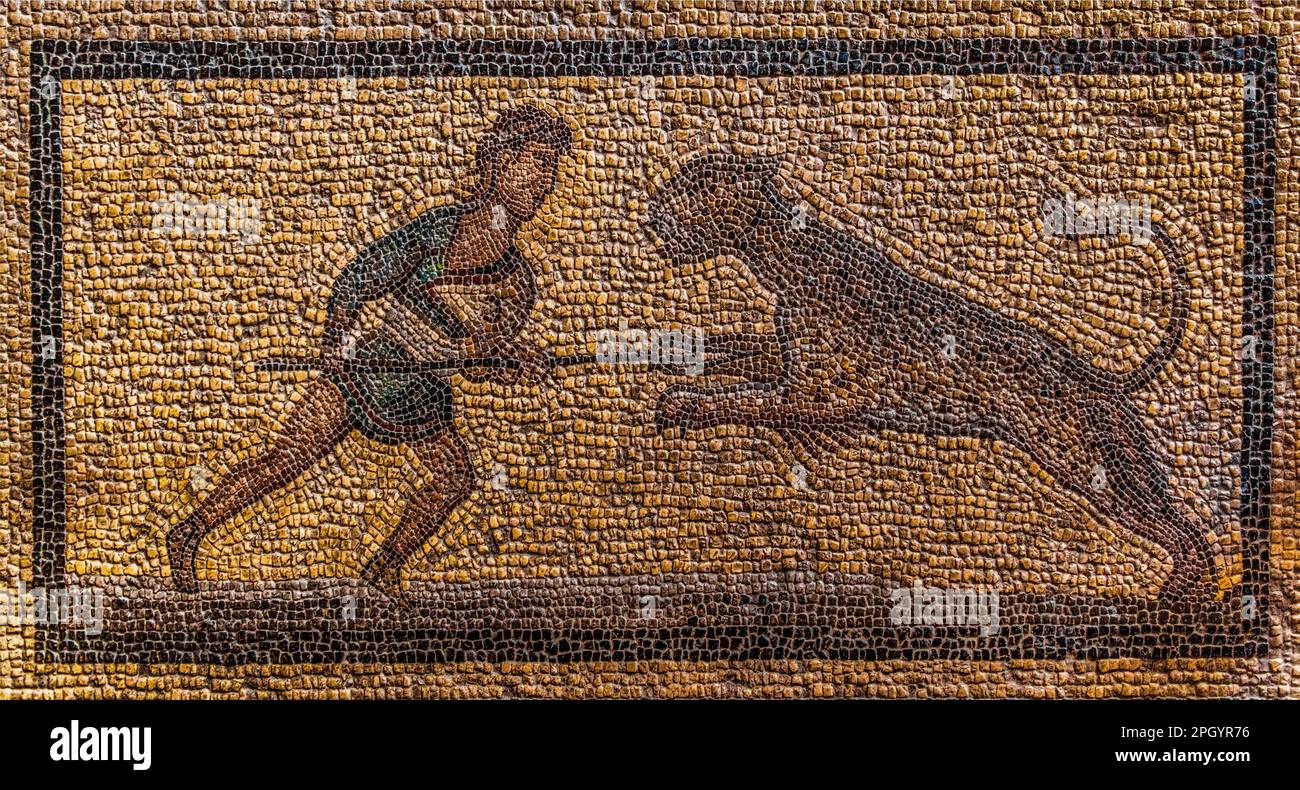 Mosaïque avec le léopard jahgd de Koc, 2nd siècle, Palais des Grands maîtres construit au 14th siècle par l'ordre de Johnnite, forteresse et palais pour le Banque D'Images
