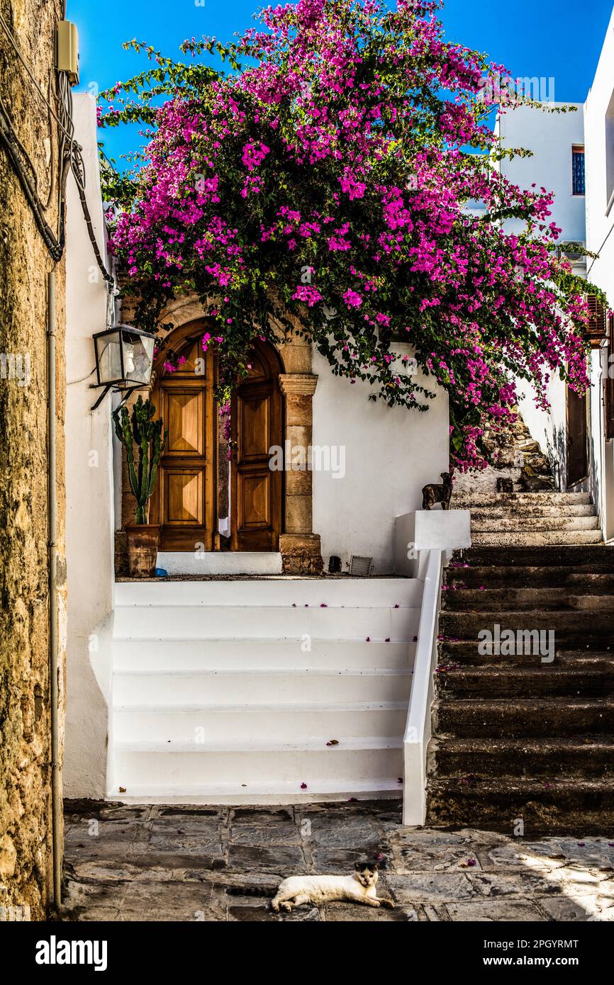 Vieilles portes en bois avec mosaïques de galets sur le sol, rues sinueuses avec maisons blanches, Lindos, Rhodes, Grèce Banque D'Images