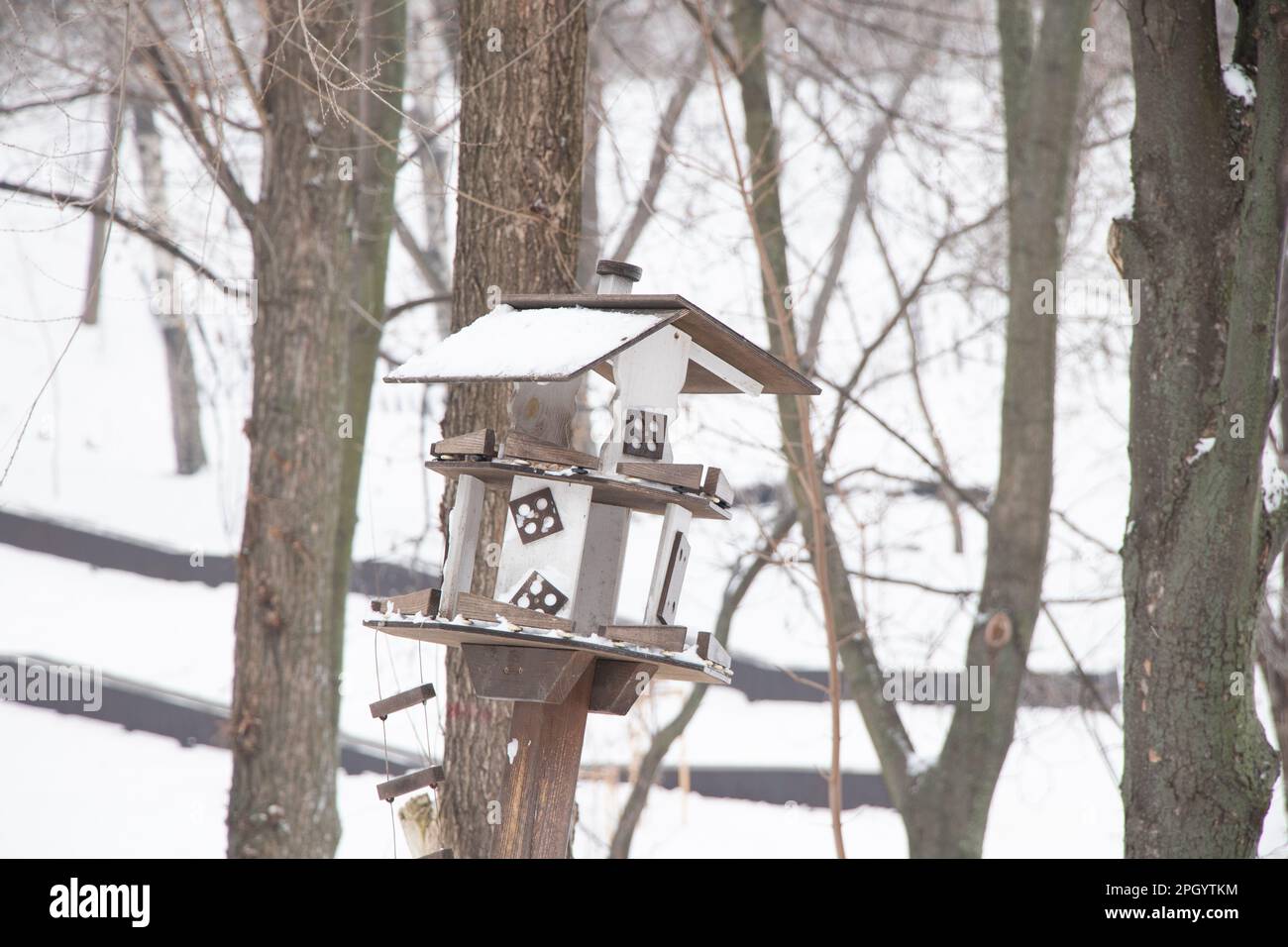 Maison d'oiseau en hiver dans les parcs sur l'arbre en Ukraine Banque D'Images