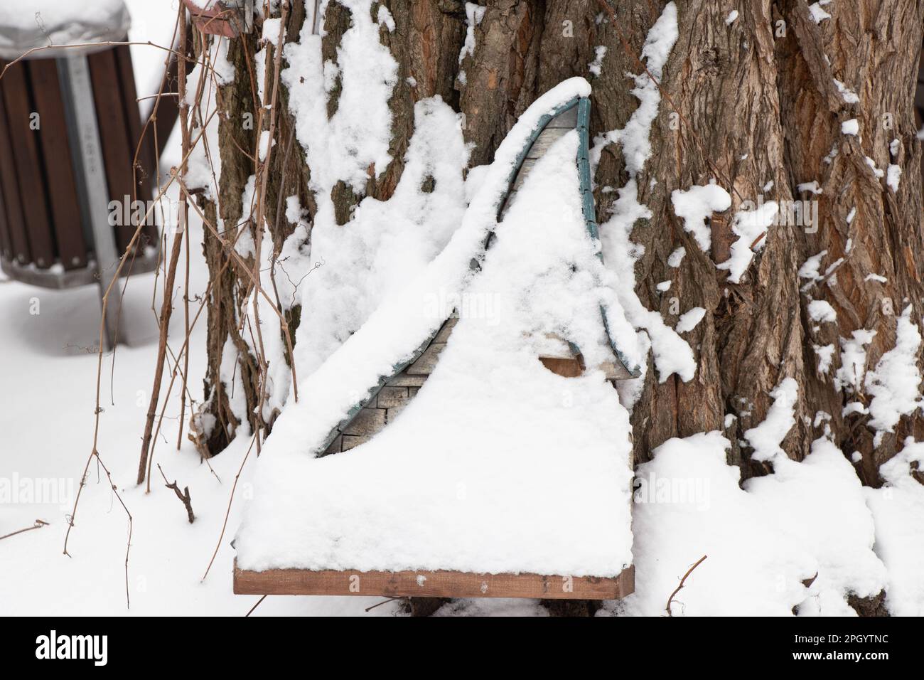 petite maison en bois de conte de fées dans un arbre dans un parc en hiver dans la neige Banque D'Images