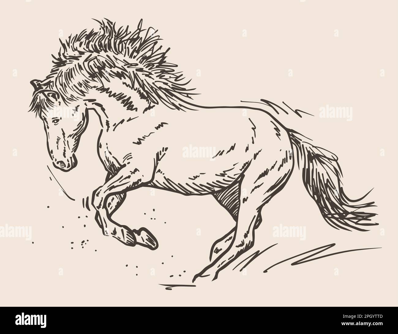 cheval bondissant. Dessin à la main, illustration vectorielle Illustration de Vecteur
