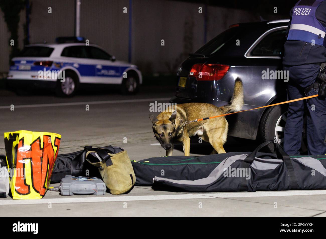 Armsheim, Allemagne. 23rd mars 2023. Un chien de détection de stupéfiants en lixiviation est vu entre les bagages et une voiture de tourisme à un point de contrôle majeur pour lutter contre les explosions de ATM. Credit: Jörg Halisch/dpa/Alamy Live News Banque D'Images