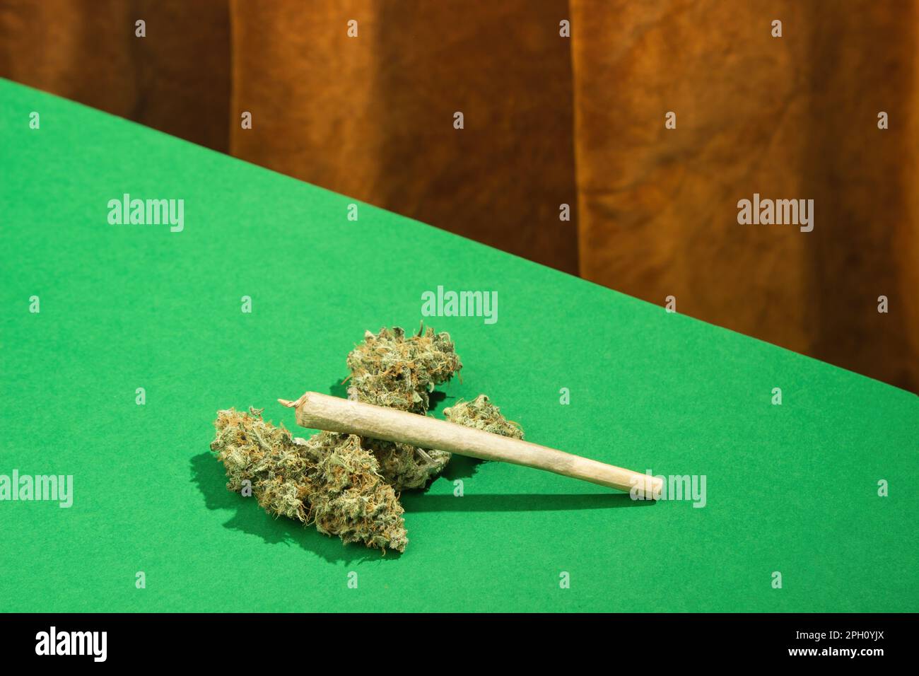 Une articulation de taille king se trouve parmi les bourgeons secs de marijuana sur une table verte sur le fond d'un rideau de velours brun Banque D'Images