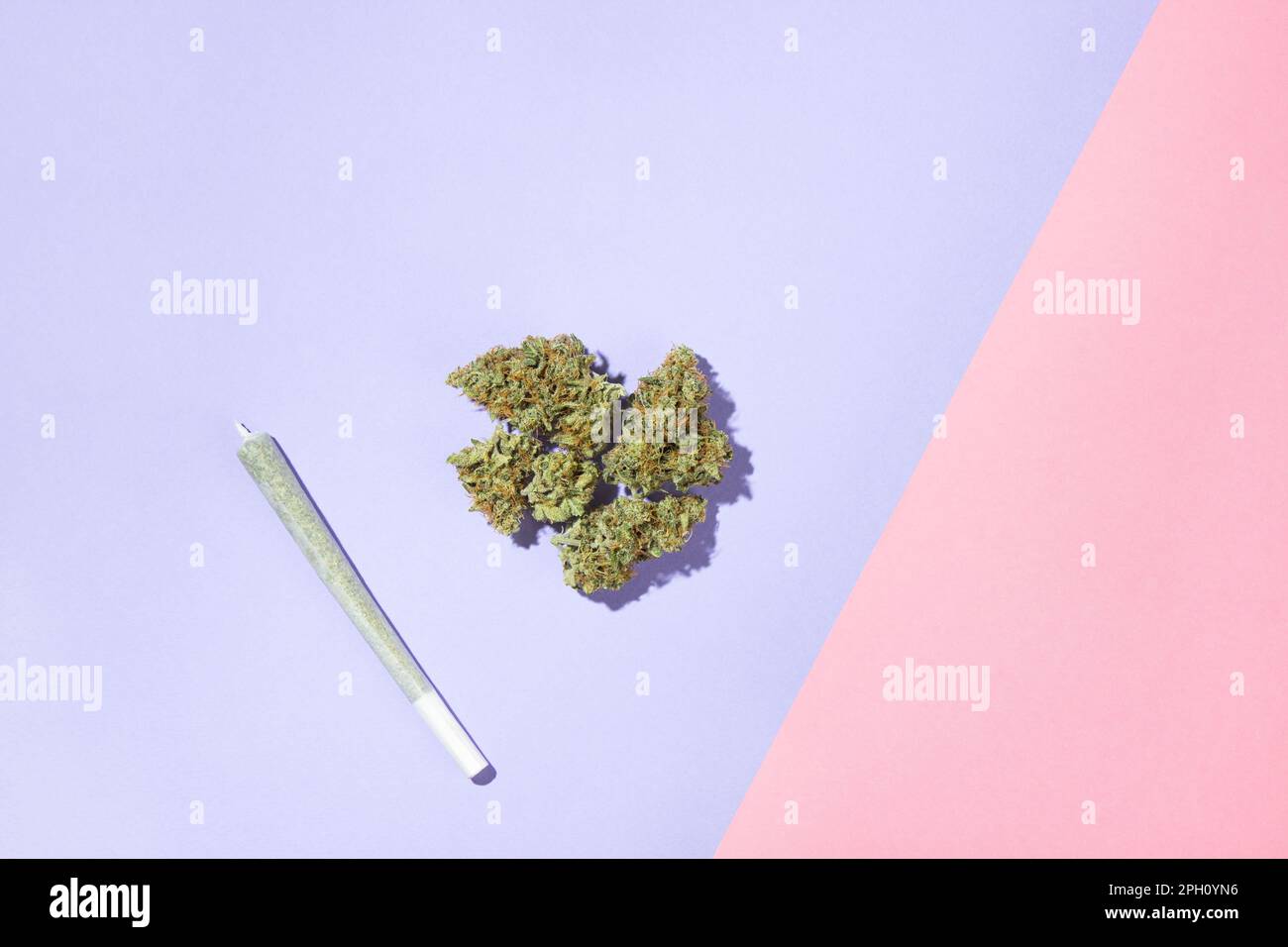 Une taille de roi joint se trouve à côté d'une pile de bourgeons secs de marijuana médicale. Sur fond lilas et rose, aplatissement Banque D'Images