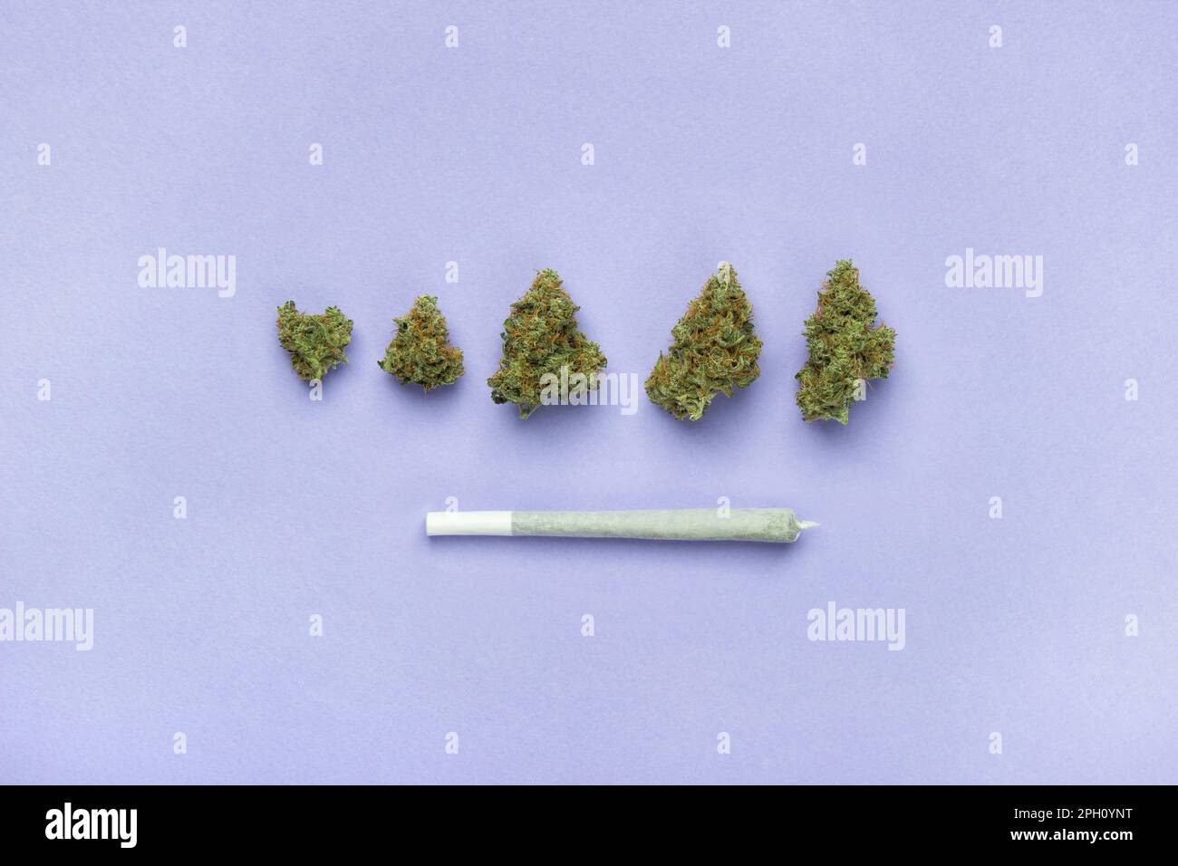 Les bourgeons secs de marijuana médicale se trouvent dans une ligne, sous eux une taille de roi joint fait de papier blanc. Sur fond lavande, copiez l'espace Banque D'Images