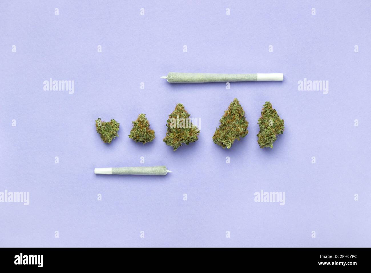 Les bourgeons secs de marijuana médicale se trouvent dans une rangée, sur le dessus d'un joint de taille de roi en papier blanc, sur le fond d'un petit joint. Sur fond lavande, c Banque D'Images