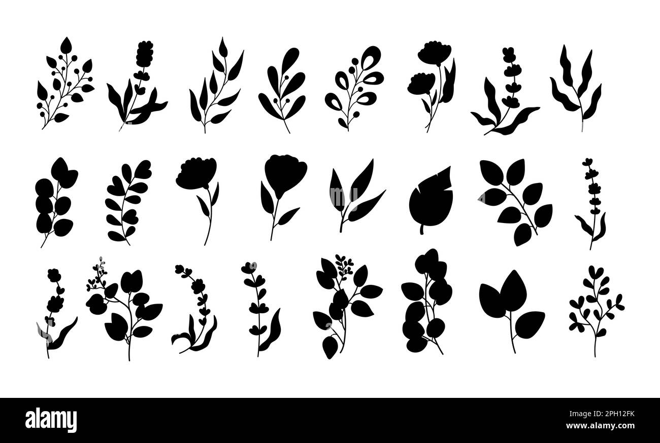 Herbes de printemps, silhouette de feuilles noires, branches de branches de branches. Plantes d'été, eucalyptus, lavande et baies différentes, jennage et olive, fleurs mignonnes, palmier. Illustration vectorielle isolée sur un ensemble blanc Illustration de Vecteur