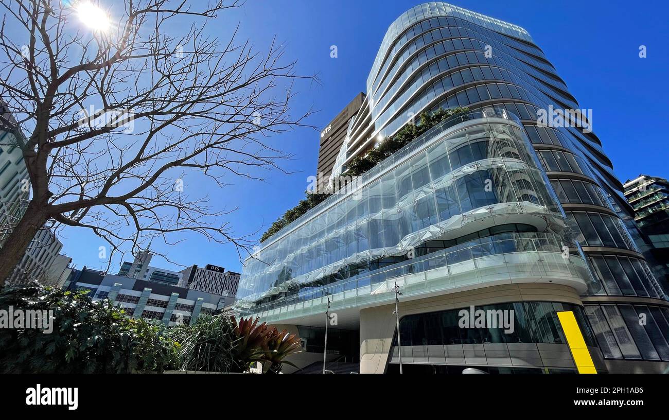 Bâtiment de l'Université de technologie de Sydney (UTS) entouré d'arbres dans un ciel bleu. Banque D'Images