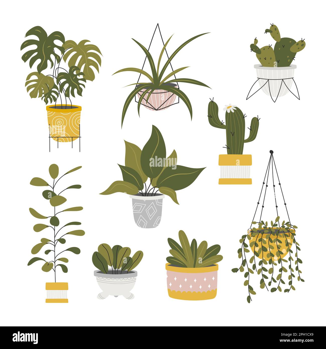 Collection de plantes de maison décoratives Illustration de Vecteur