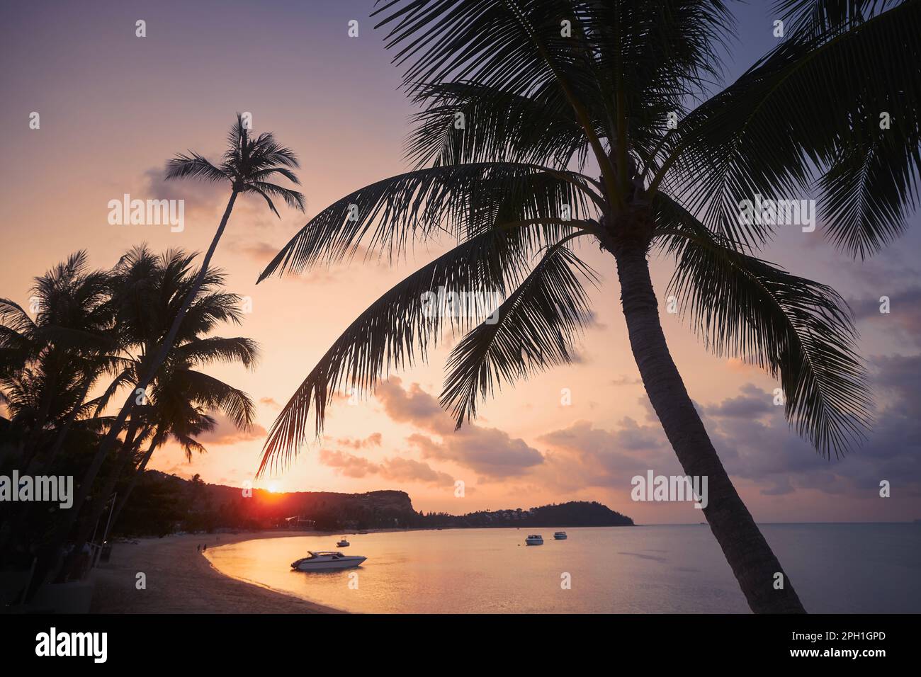 Silhouette de palmiers sur une longue plage de sable au beau coucher de soleil à Koh Samui, Thaïlande. Banque D'Images
