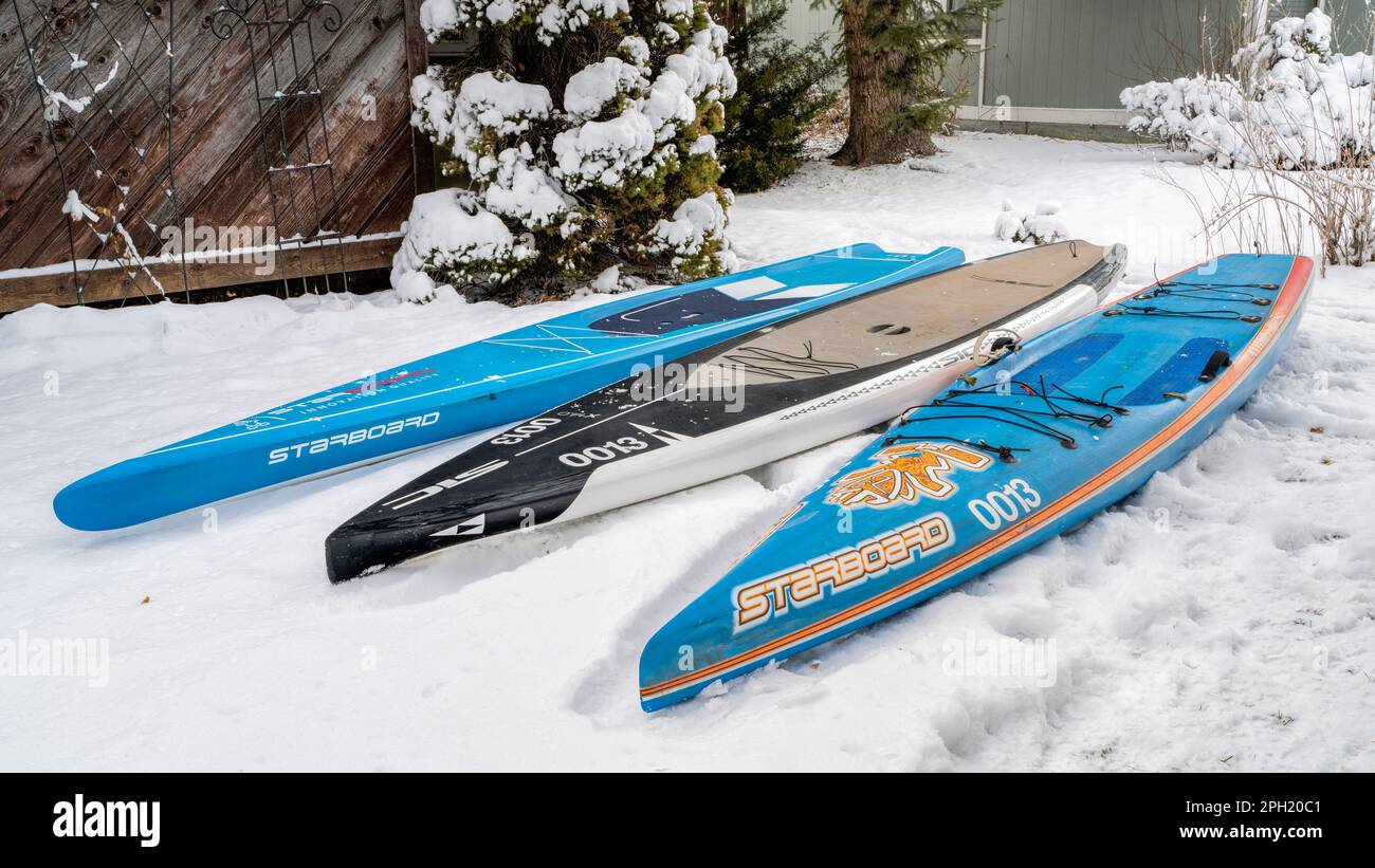 Fort Collins, CO, États-Unis - 25 mars 2023: Préparation pour une saison de pagayage et de course - trois paddleboards de stand-up par Starboard et SIC Maui dans un backyar Banque D'Images