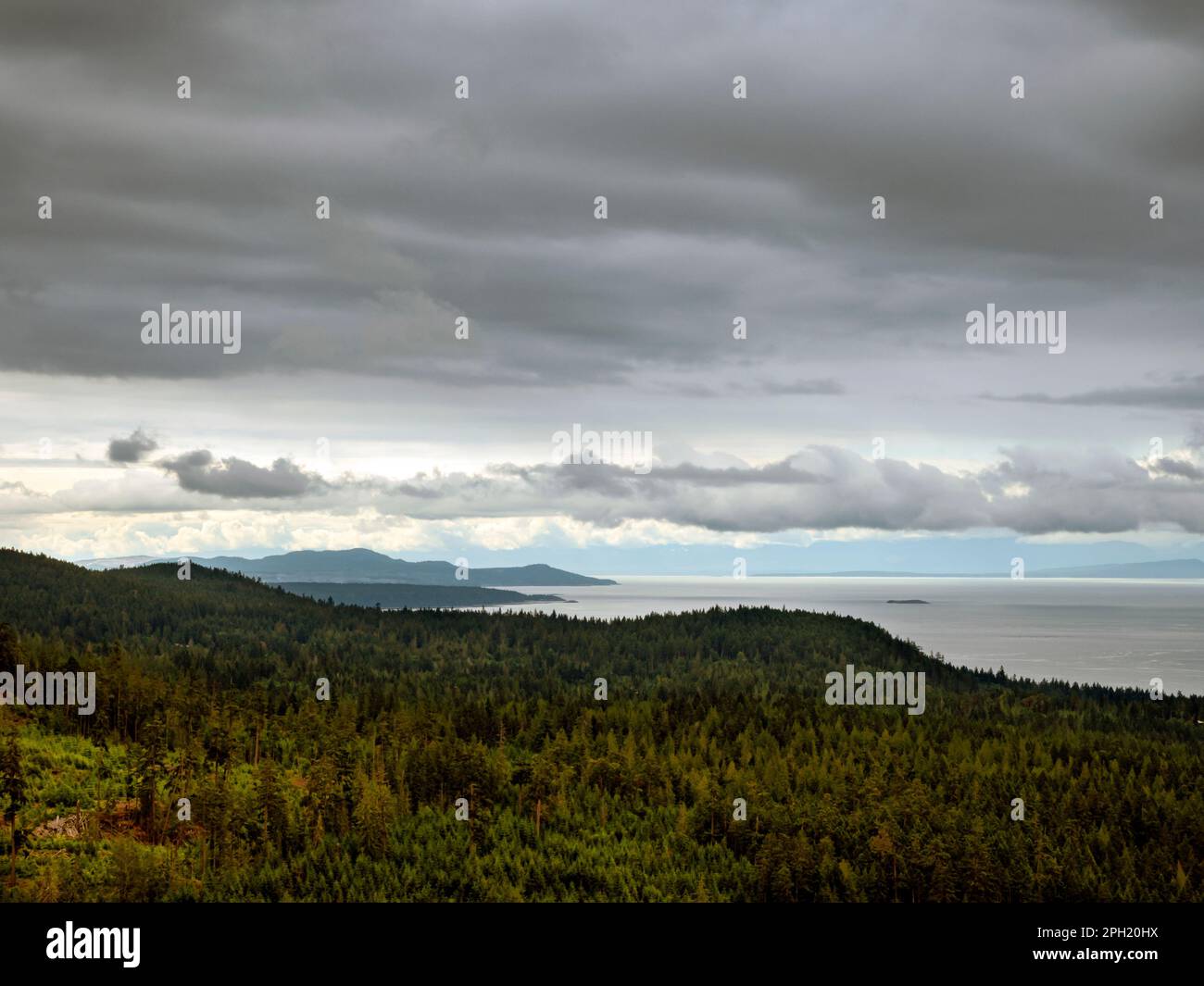 BC00669-00...COLOMBIE-BRITANNIQUE - vue sur le détroit de Georgia depuis le sentier de la Sunshine Coast à Mazanita Bluff Banque D'Images