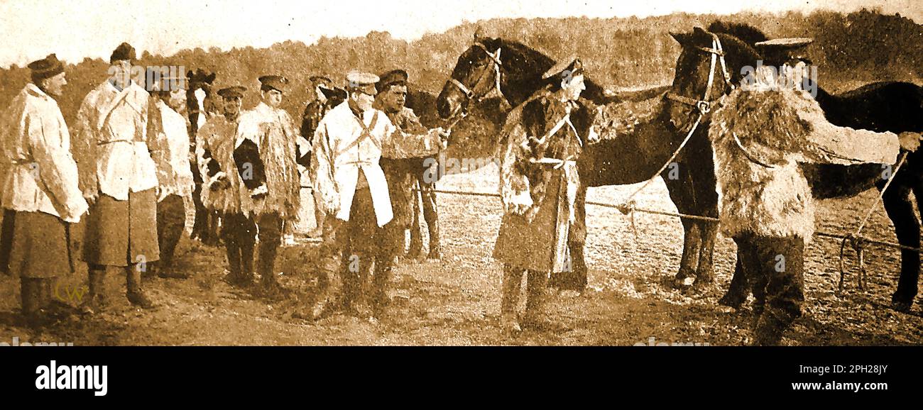 WWI - soldats britanniques sur les lignes de chevaux portant des vêtements d'hiver de chapeaux doublés de laine et de vestes de fourrure Banque D'Images
