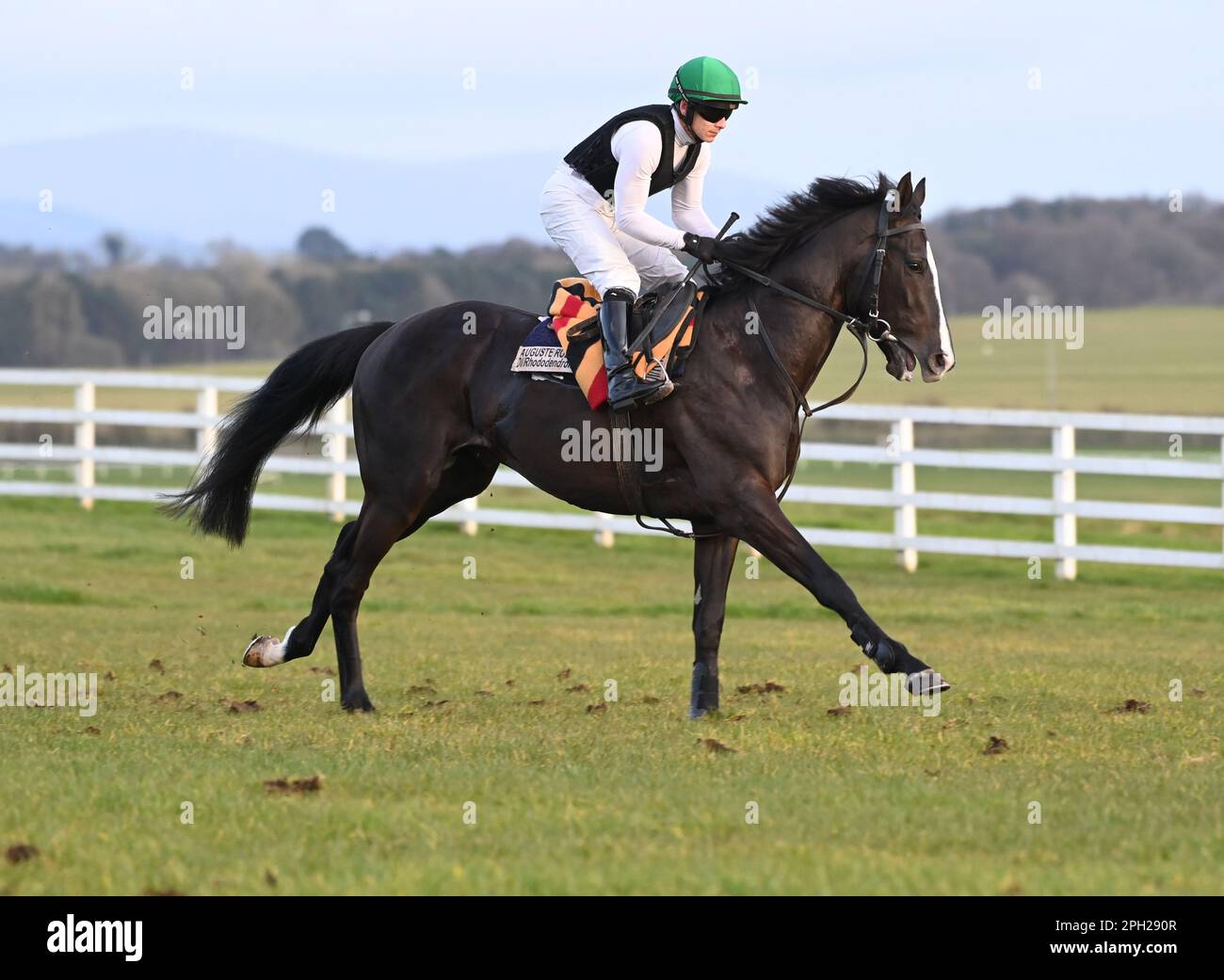 Le classique plein d'espoir Auguste Rodin est travaillé par le jockey Wayne Lordan à l'hippodrome de Curragh, dans le comté de Kildare. Date de la photo: Samedi 25 mars 2023. Banque D'Images