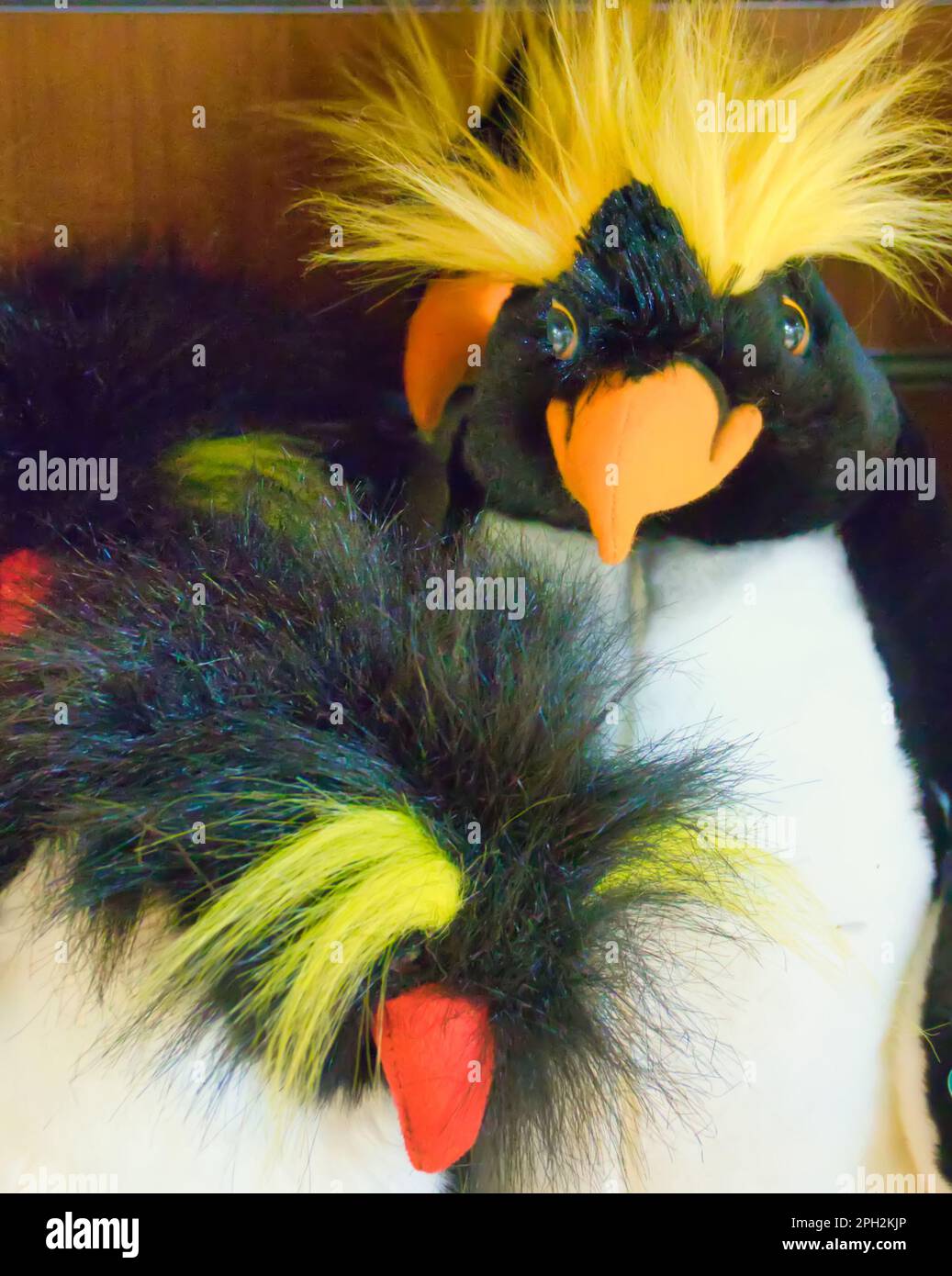 jouet doux pour pingouin rockhopper en solde boutique de souvenirs du zoo d'Édimbourg Banque D'Images