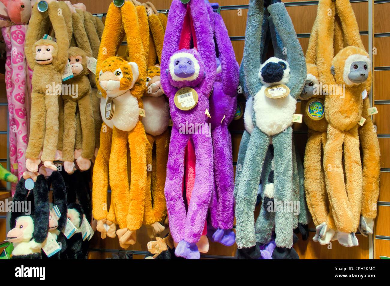 jouet doux singe en solde boutique de souvenirs du zoo d'Édimbourg Banque D'Images