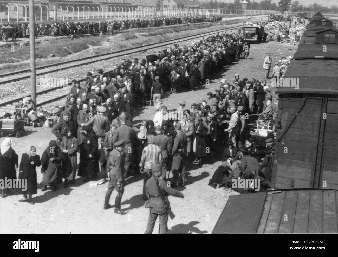 Les Juifs hongrois du Tet Ghetto attendent leur sélection sur la rampe d'Auschwitz II-Birkenau. La sélection consistait à être sélectionné immédiatement pour la mort dans les chambres à gaz ou à être envoyé comme ouvrier esclave forcé. Photo 27 mai 1944 Banque D'Images