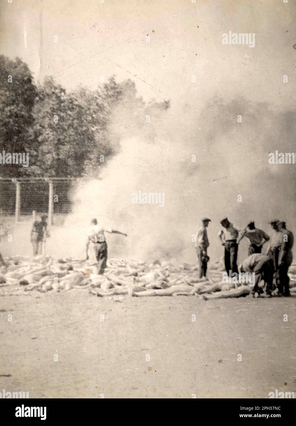 Les photos de Sonderkommando. Alors qu'il y a beaucoup d'images montrant les victimes sur la plate-forme d'Auschwitz, ou marchant vers les chambres à gaz, seulement quatre ont été prises du processus réel de meurtre. Voici les photos de Sonderkommando. Ils ont été pris à l'intérieur du camp à l'aide d'une caméra en contrebande et les images utilisées pour dire au monde ce qui se passait. Celui-ci montre les corps gazés déversés sur le sol et être ramassés et mis dans une fosse de feu extérieure d'aan. Banque D'Images