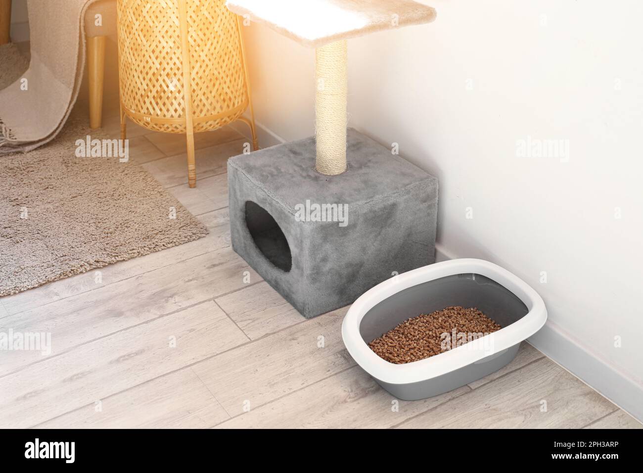 Boîte à litière pour chats et grattage dans la chambre Photo Stock - Alamy