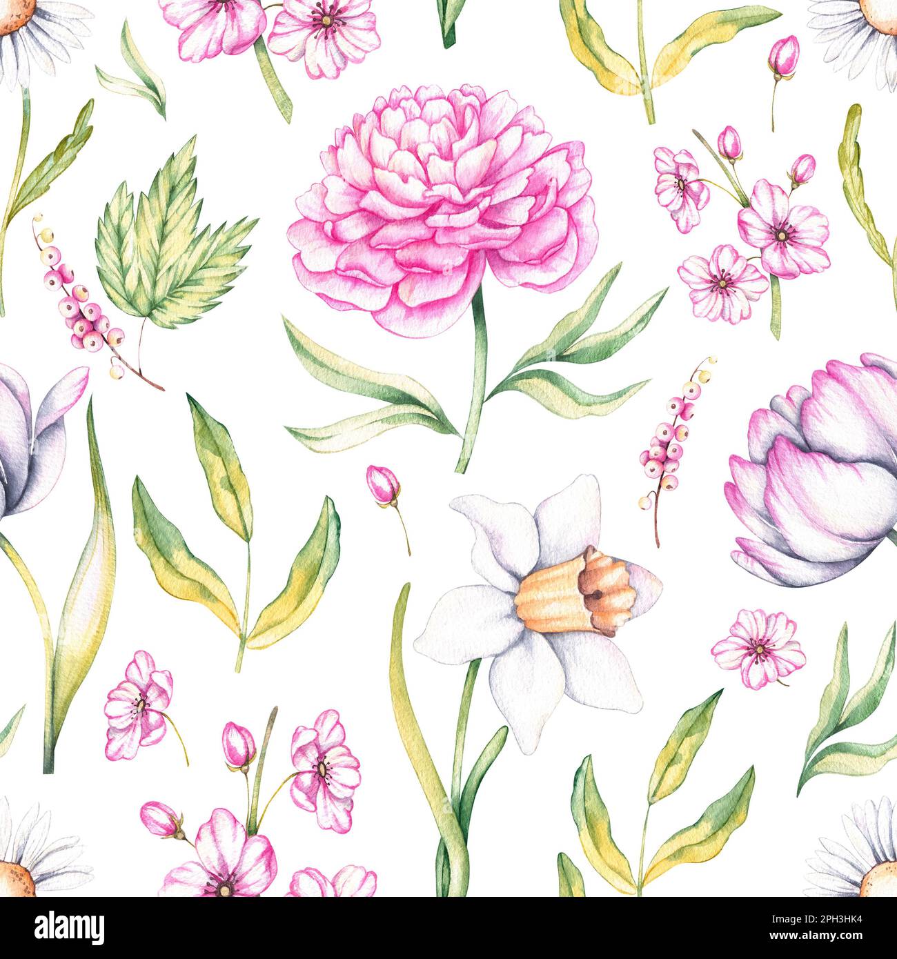 Motif aquarelle avec fleurs printanières (tulipe, pivoine, narcisse, camomille, pivoine). Motif avec fleurs pour un motif en tissu, papier d'emballage, papiers peints Banque D'Images