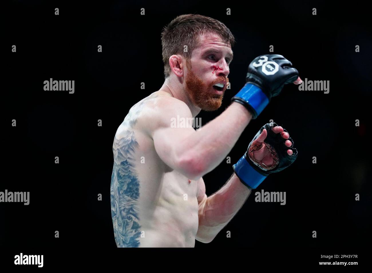 SAN ANTONIO, TEXAS - 25 MARS : Cory Sandhagen dans son combat de poids-de-bantamweight lors de la soirée de combat de l'UFC au AT&T Centre sur 25 mars 2023 à San Antonio, Texas, États-Unis. (Photo de Louis Grasse/PxImages) Banque D'Images