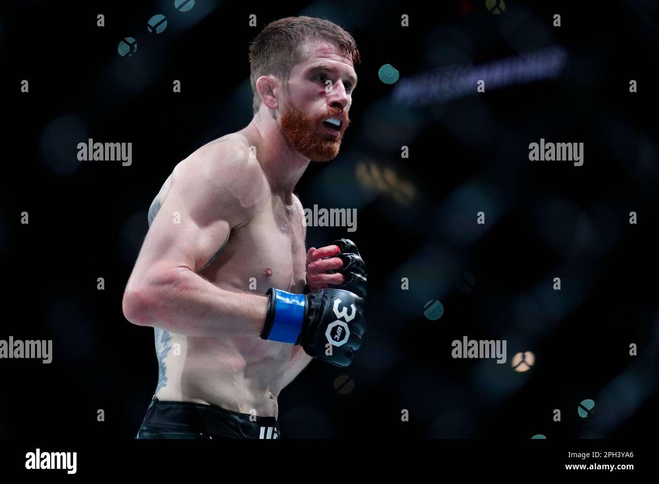 SAN ANTONIO, TEXAS - 25 MARS : Cory Sandhagen dans son combat de poids-de-bantamweight lors de la soirée de combat de l'UFC au AT&T Centre sur 25 mars 2023 à San Antonio, Texas, États-Unis. (Photo de Louis Grasse/PxImages) Banque D'Images