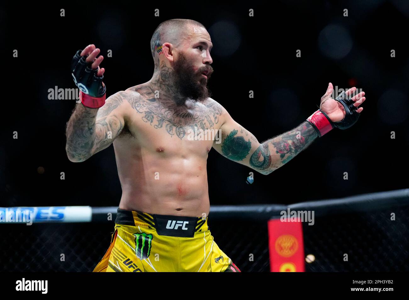 SAN ANTONIO, TEXAS - 25 MARS : Marlon Vera dans son combat de poids-de-la-Balantamweight lors de l'événement de la soirée de combat de l'UFC au AT&T Centre on 25 mars 2023 à San Antonio, Texas, États-Unis. (Photo de Louis Grasse/PxImages) Banque D'Images