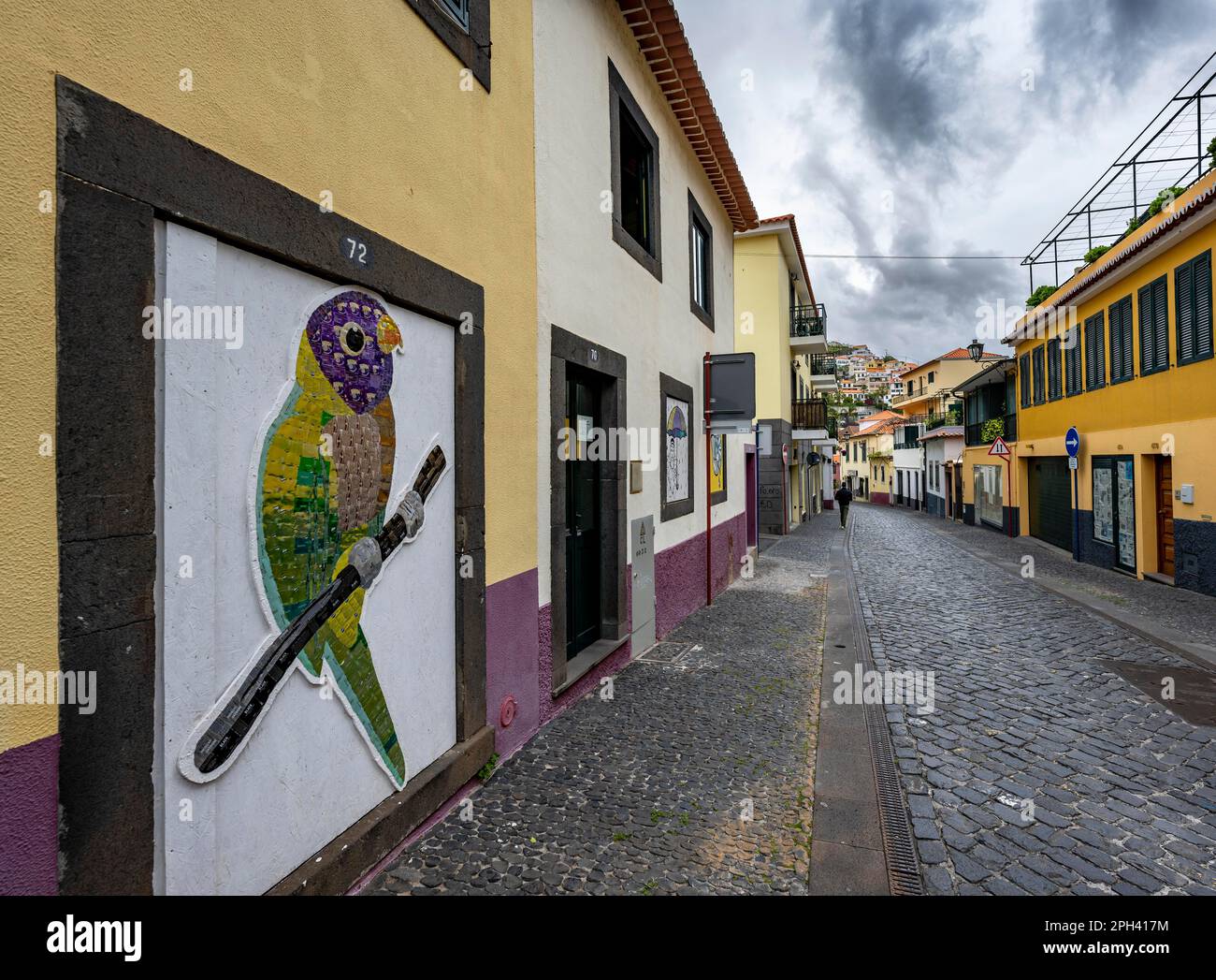 Rue avec mur de maison peint, vieille ville, ville de Camara de Lobos, Madère, Portugal Banque D'Images