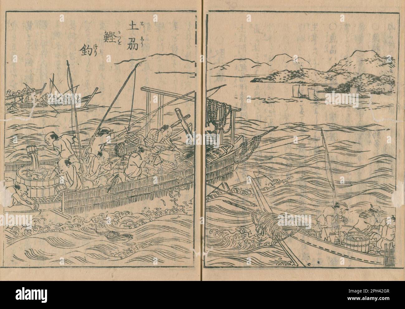 Bonito Fishing at Tosa, from Nihon sankai meisan zue, publié en 1800s, Artist Hokkyo (Shitomi) Kangetsu (1747–1797) Banque D'Images