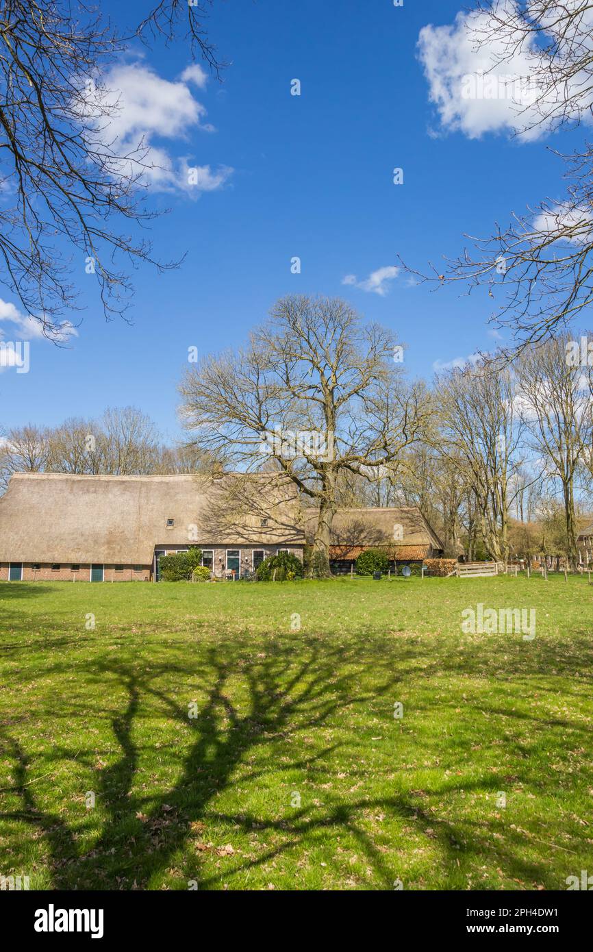 Ferme historique dans le village agricole d'Orvelte, pays-Bas Banque D'Images