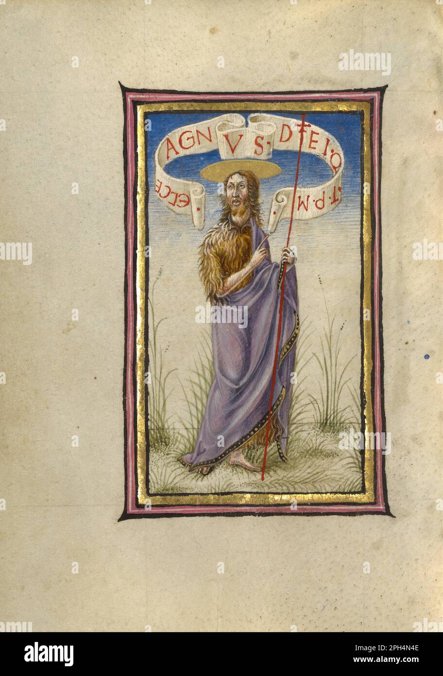 Saint Jean-Baptiste vers 1469 par Taddeo Crivelli Banque D'Images Saint Jean-Baptiste vers 1469 par Taddeo Crivelli Banque D'Images