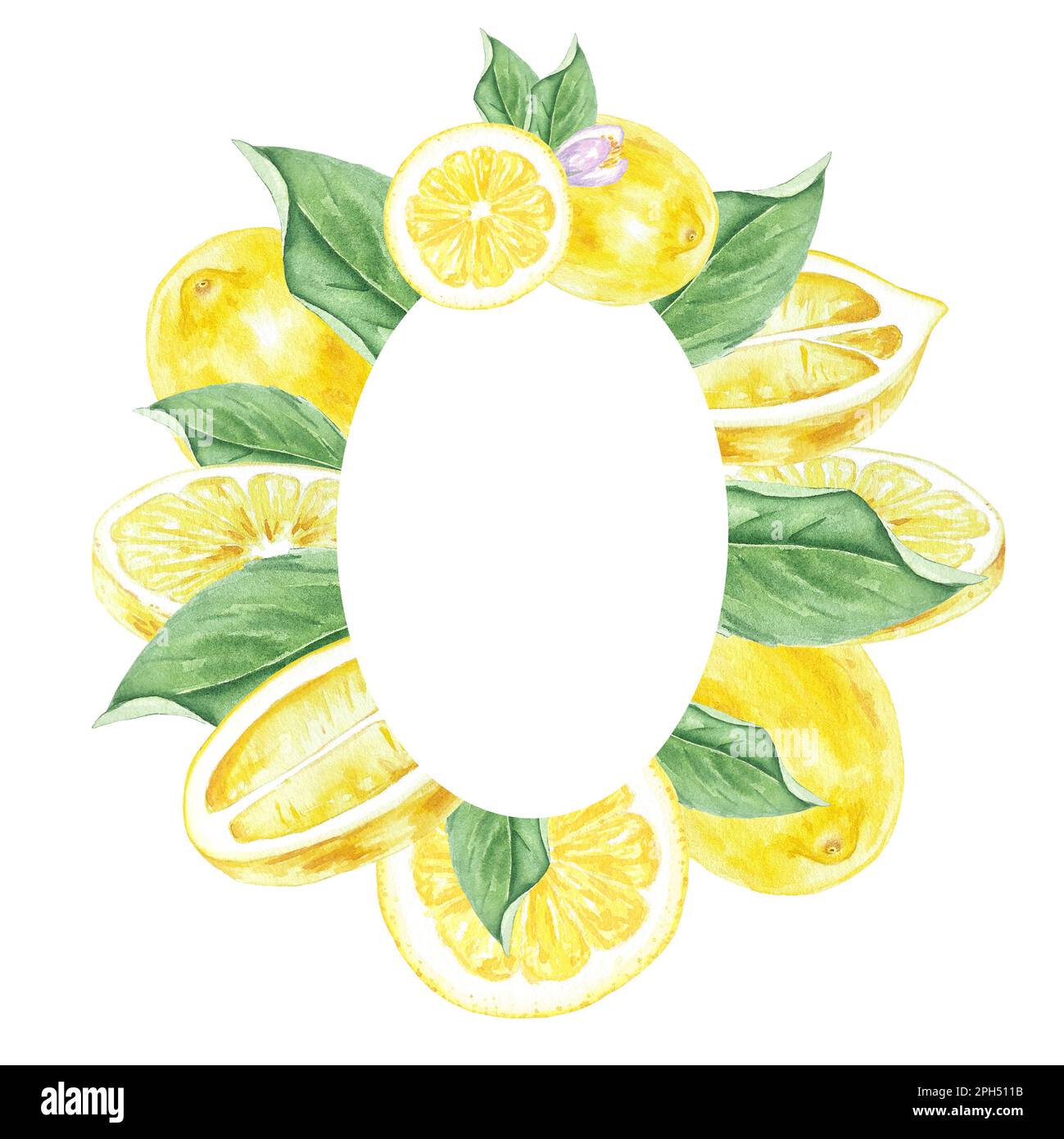 Cadre aquarelle de citrons, fleurs et feuilles peint à la main dans le style botanique, pour les vacances, les mariages et la conception de nourriture. Arrière-plan fruits tropicaux Banque D'Images Cadre aquarelle de citrons, fleurs et feuilles peint à la main dans le style botanique, pour les vacances, les mariages et la conception de nourriture. Arrière-plan fruits tropicaux Banque D'Images