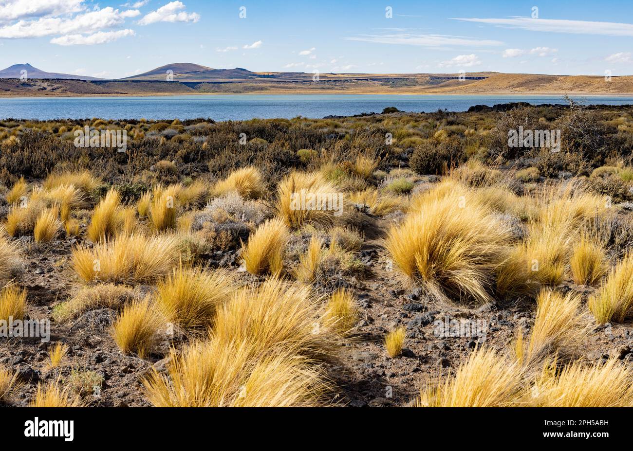 Parc national Laguna Blanca à Neuquén, Argentine - Voyager en Amérique du Sud Banque D'Images