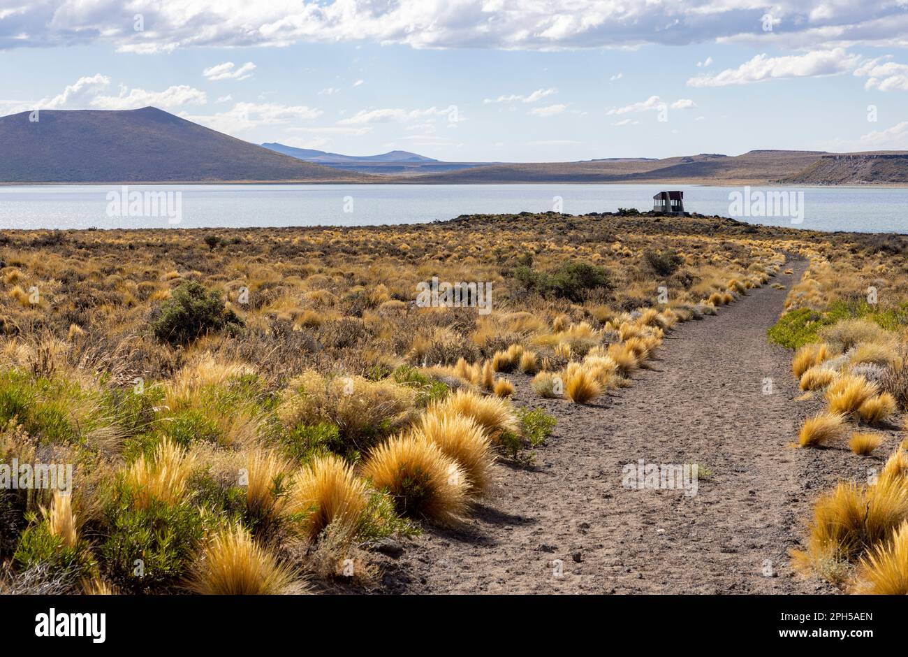 Parc national Laguna Blanca à Neuquén, Argentine - Voyager en Amérique du Sud Banque D'Images