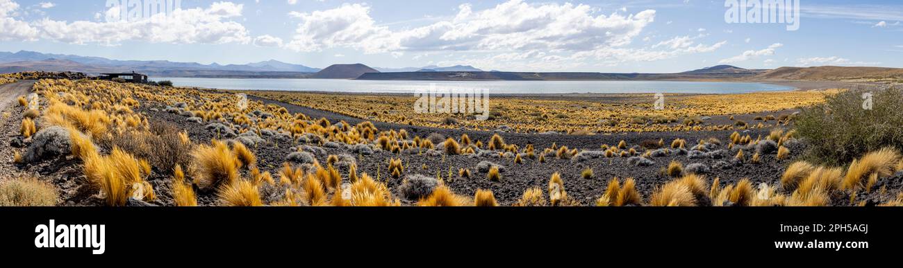 Parc national Laguna Blanca à Neuquén, Argentine - Voyager en Amérique du Sud - Panorama Banque D'Images