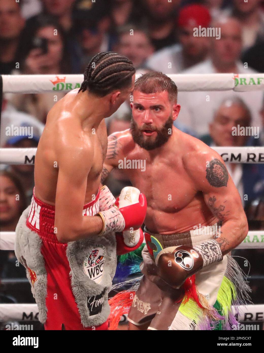 LAS VEGAS, NV - MARS 25: (R-L) Caleb Plant batailles David Benavidez dans leur WBC World Super Middleweight Title bout par intérim à la MGM Grand Garden Arena sur 25 mars 2023 à Las Vegas, NV, États-Unis. (Photo par Alejandro Salazar/PxImages) Banque D'Images