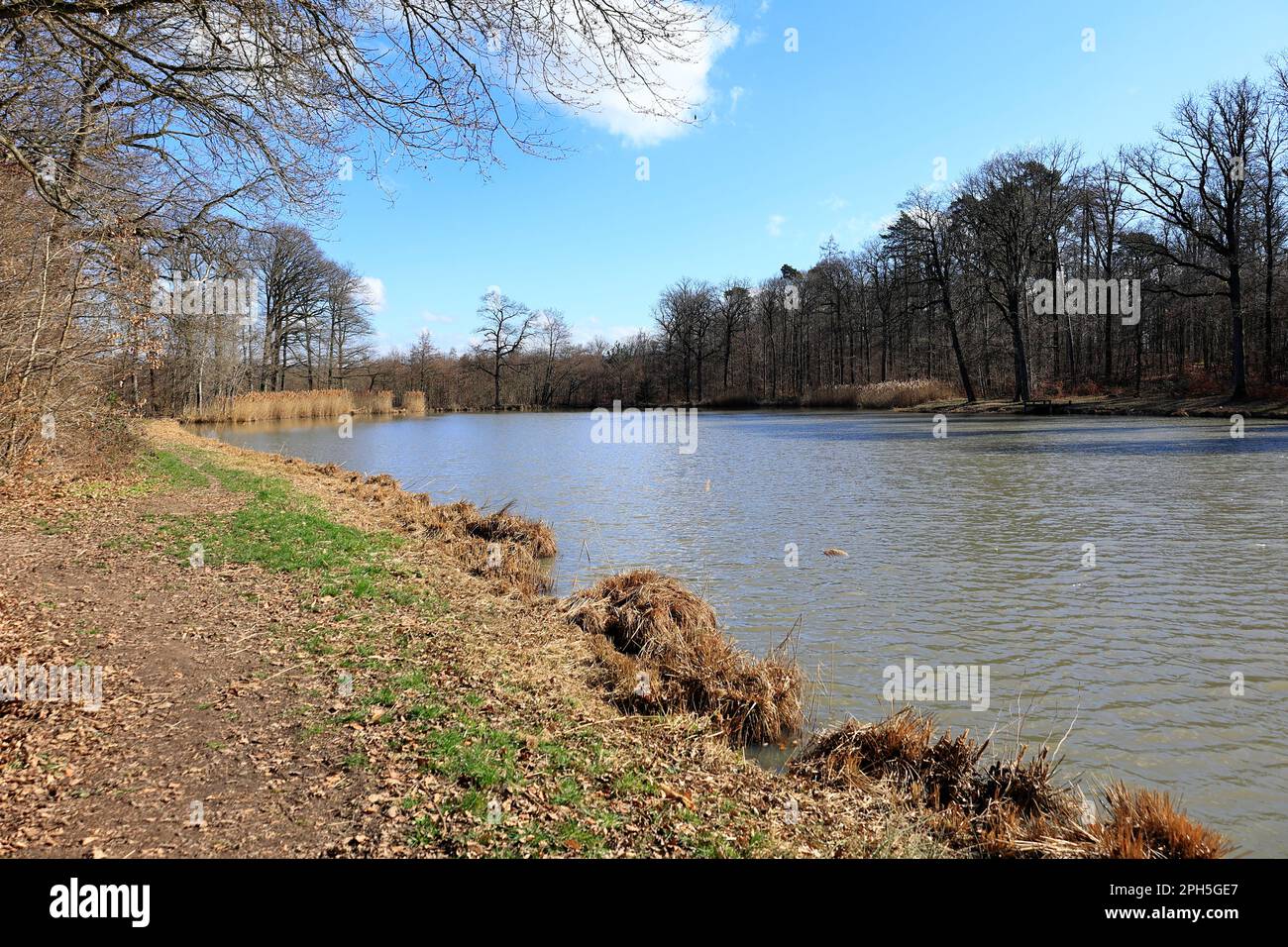 Vue sur le Hamberger See dans la région de Stromberg près de Vaihingen Banque D'Images