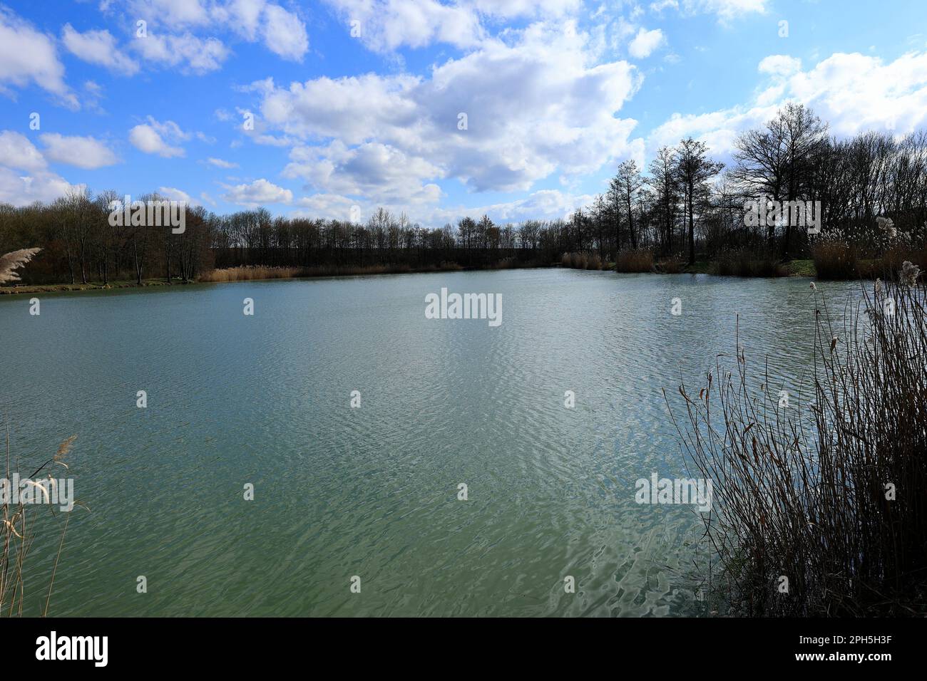 Vue sur le Seewaldsee près de Horrheim dans le Bade-Wurtemberg Banque D'Images