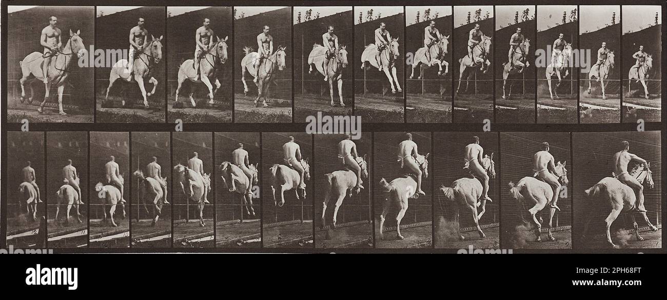 Locomotion animale, planche 646 1887 par Eadlaund Muybridge Banque D'Images