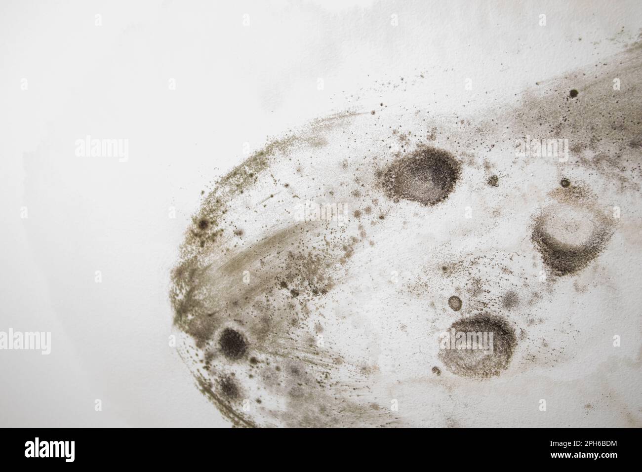 Beaucoup de moisissures sur le plafond blanc Banque D'Images