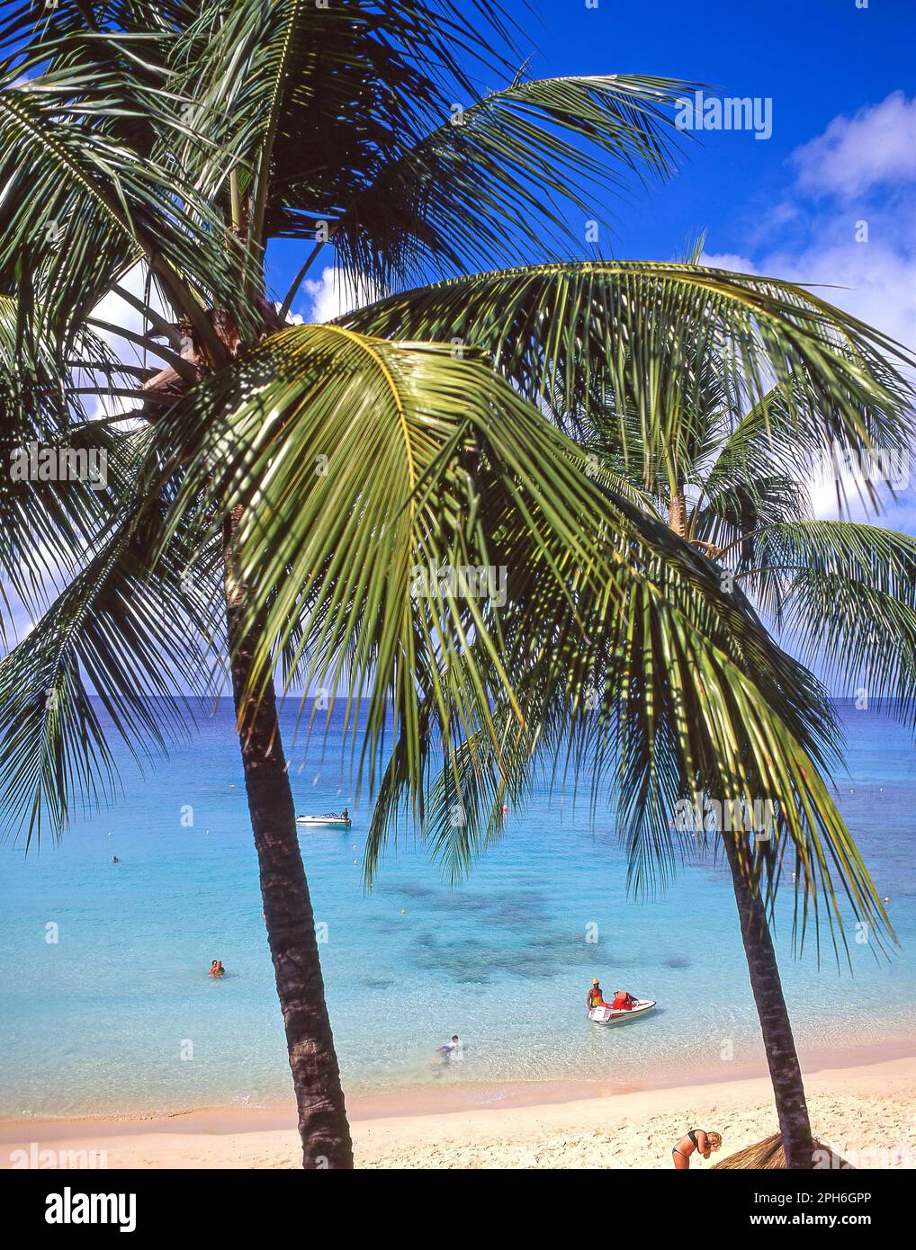 Vue sur la plage, la Barbade, Tamarind Cove, Lesser Antilles, Caribbean Banque D'Images