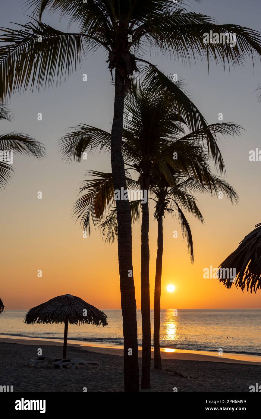 Lever de soleil derrière les palmiers sur la côte ouest du Panama. Ciel orange. Banque D'Images